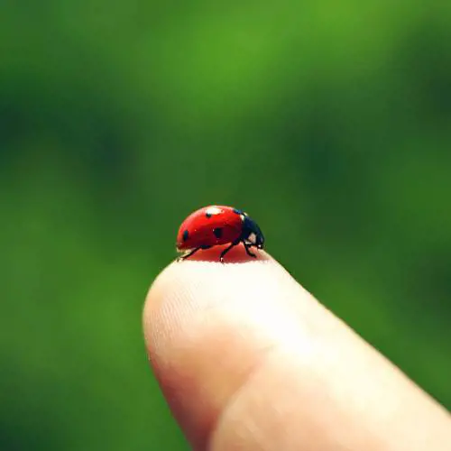 E se la fortuna fosse una maledizione?