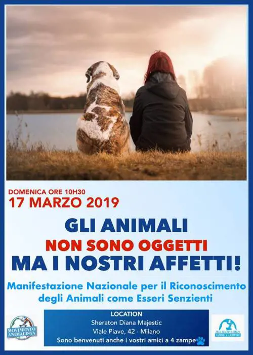 Brambilla: "Gli animali non sono oggetti ma i nostri affetti"