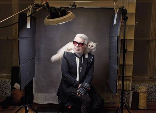 La gatta di Karl Lagerfeld lancia la sua collezione RIP Daddy