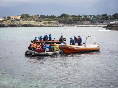 L'ong e la tempistica sospetta dietro il blitz in mare dei centri sociali