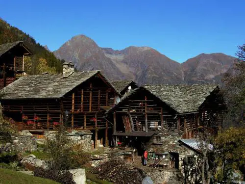Il senso degli svedesi per la neve della Valsesia