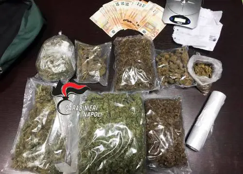 Marijuana nello zaino, incastrato dal cane antidroga