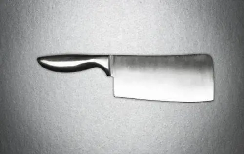 Madre severa gli uccide il cane, 13enne la massacra con una mannaia