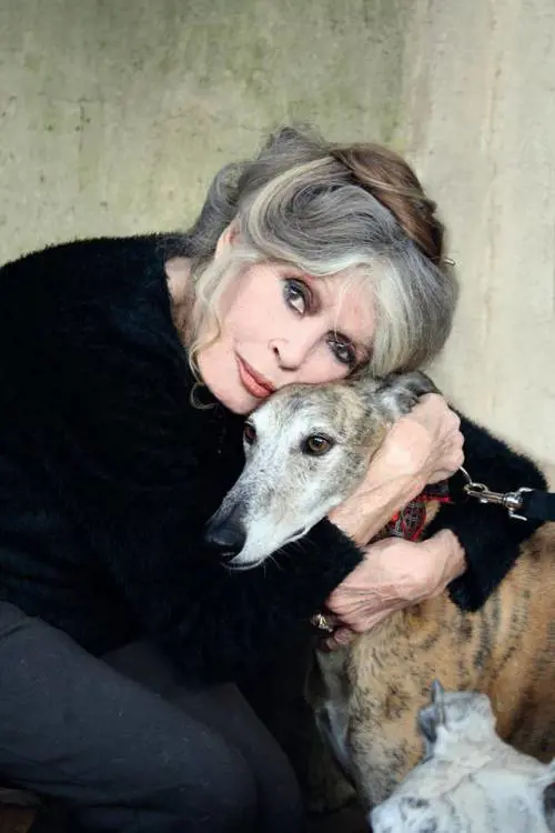 Brigitte Bardot accusata di incitamento all'odio razziale