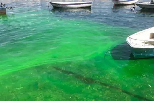 Quel mare verde che preoccupa Napoli