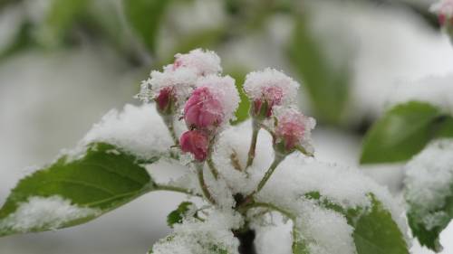 Colpo di coda dell'inverno: da domani pioggia, neve, vento e temperature basse