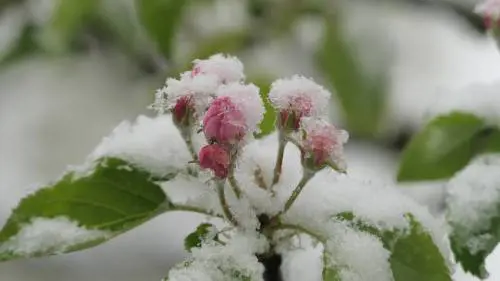 Colpo di coda dell'inverno: da domani pioggia, neve, vento e temperature basse