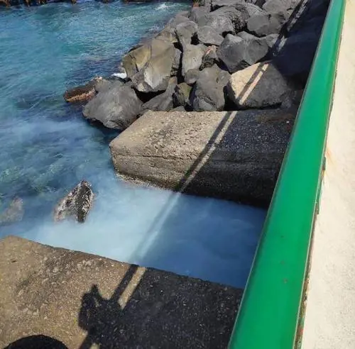 Lo "strano" mare bianco a Sorrento