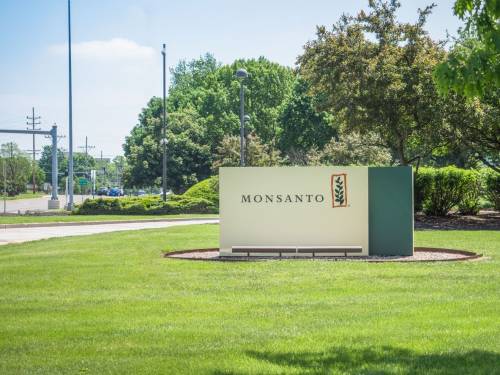 Usa, Monsanto perde causa per tumore: pagherà 80 mln di dollari
