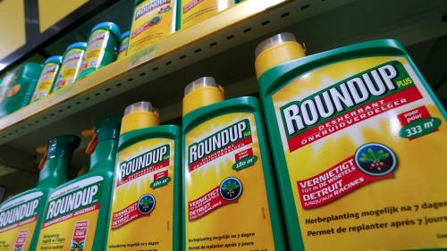 Condannata per il diserbante Monsanto, Bayer cola a picco