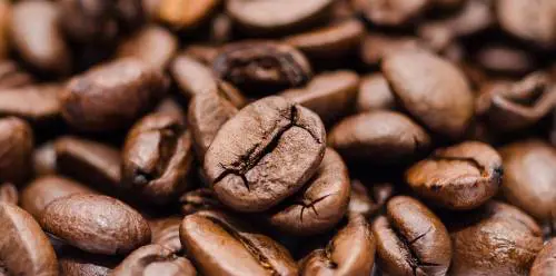 Ecco cosa c'è nel caffè ginseng