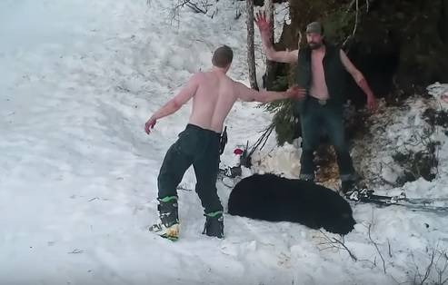 Uccidono "mamma orsa" in letargo con i cuccioli: padre e figlio in arresto