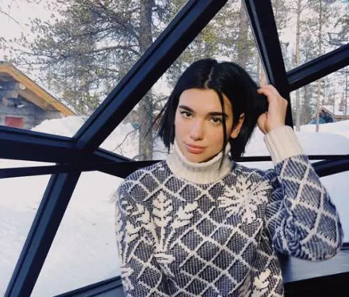 Dua Lipa attaccata sui social: "Sfrutti gli animali per divertirti"
