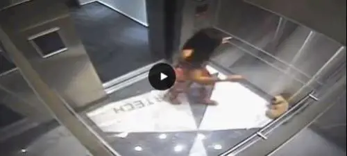 Usa, ragazza massacra il suo cane in ascensore: il video choc