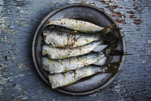 Vitamina B12: la carenza danneggia l'organismo