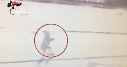 L'uccisione di Stefano Leo e la fuga: il killer ripreso dalle telecamere