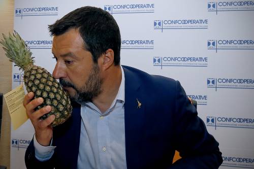 Salvini e l'ananas al seminario di Confcooperative