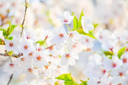 Perché in primavera è più facile perdere peso