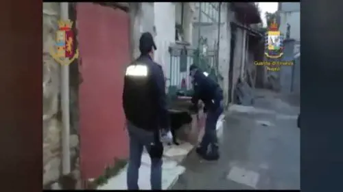 Blitz al Rione Berlingieri: finanzieri e cani antidroga trovano armi e droga