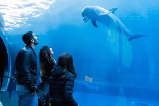 Giorgia Palmas e Filippo Magnini esperienza da sogno all'Acquario di Genova