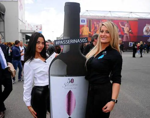 L'Italia del vino si beve anche la crisi