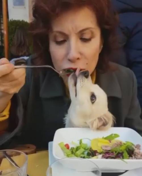 Alda D'Eusanio condivide il cibo con il cane. Il web s'infuria: "Che schifo"