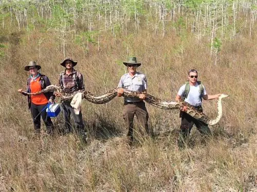 Photo by National Park Service