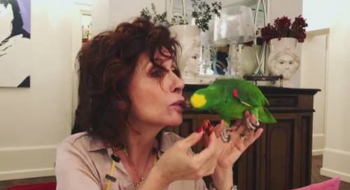 Alda D'Eusanio mastica il cibo al suo pappagallo