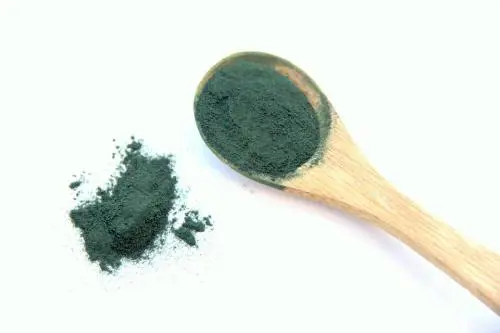 Conoscete l'Alga Spirulina? È l'alimento del futuro
