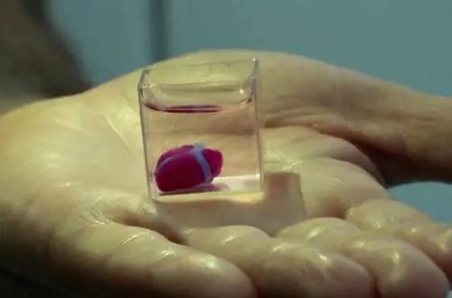 Cuore ricreato con stampante 3D, entusiasmo degli scienziati
