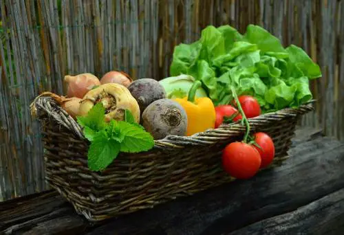 Se i cibi biologici sono a km zero apportano maggiori benefici