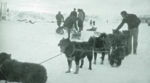 L'alpino che sfidò il Polo per soccorrere Nobile: il viaggio per immagini