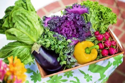 Gli alimenti che migliorano la fertilità maschile