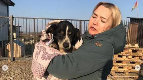  Credono che il cane sia morto e lo seppelliscono, ma Dik torna a casa