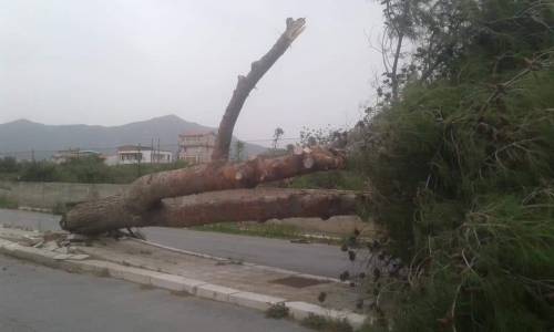 Maltempo a Pasquetta: alberi sradicati e collegamenti con le isole interrotti