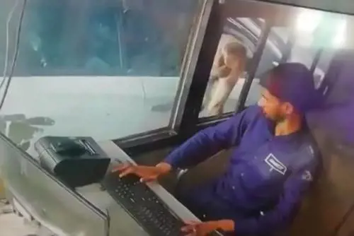 Scimmia rapina casellante in autostrada: 60 euro sottratti