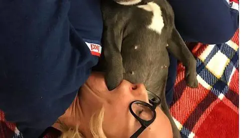 "Hai bisogno di un nuovo fidanzato". La Pellegrini col cane scatena il web