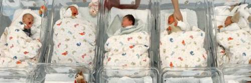 Frosinone, neonata trovata morta nella culla in ospedale