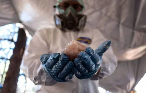 Stati Uniti, professori di chimica accusati di produrre metanfetamina nel laboratorio della scuola