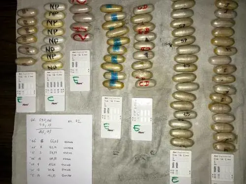 Droga, 38 corrieri in manette: ingerivano gli ovuli. Arrestata anche donna al sesto mese di gravidanza