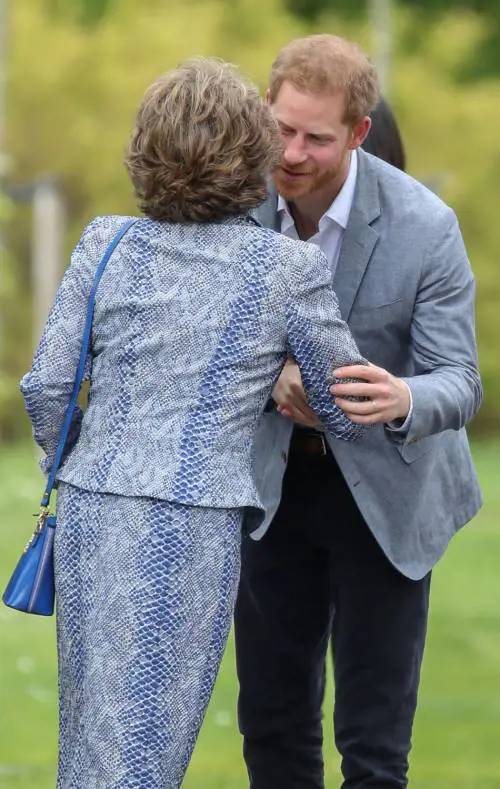 Paesi Bassi, il duca di Sussex in visita ufficiale 