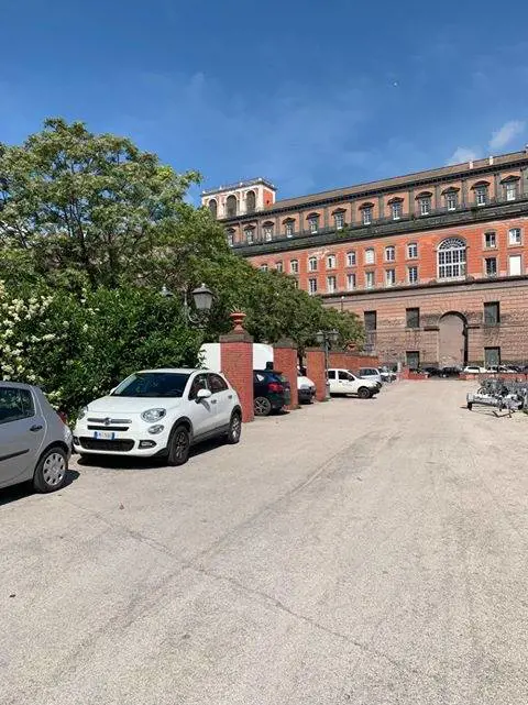 Il porto di via Action trasformato in parcheggio abusivo. Sparite anche le panchine
