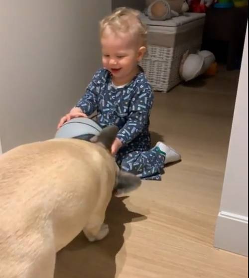 Leone e il cucciolo "traditore": il video di papà Fedez fa il pieno di like