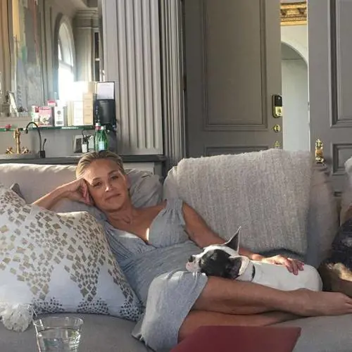 Sharon Stone: "Io, dimenticata come Lady Diana"