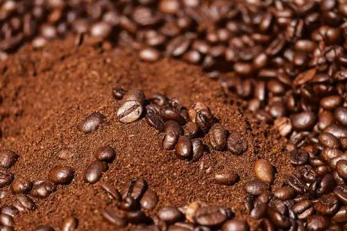 Caffè e mafia: arresti tra Palermo e Milano