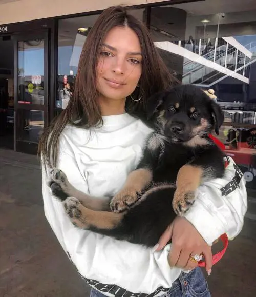 Emily Ratajkowski è nuda dietro un séparé di plexiglas rosa 