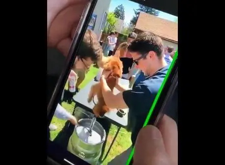 Il maltrattamento choc: obbligano il cane a bere un barile di birra