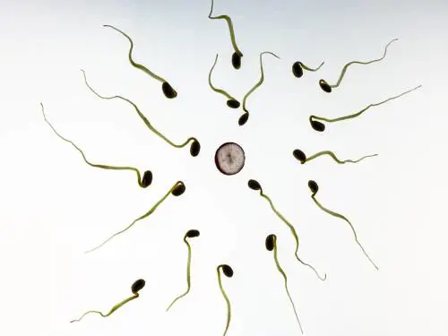 L'orologio biologico non è una prerogativa solo femminile