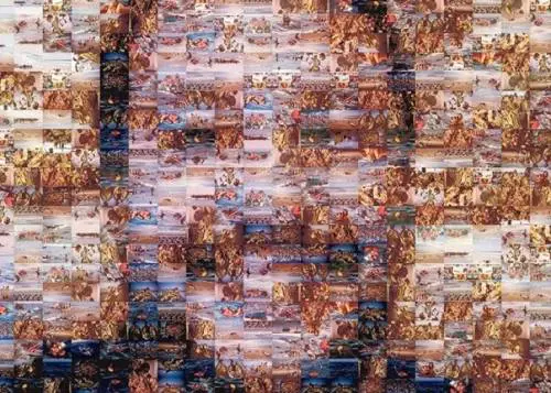 Dal quotidiano il Tirreno