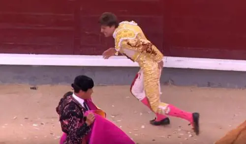Il governo Sánchez vuol "matare" la corrida. "Sadica e sleale". Sparito il premio annuale